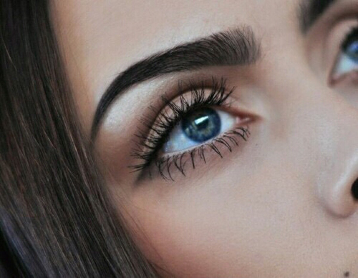 Архитектура бровей